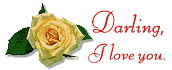 des roses de toutes les couleurs